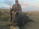 California Wild Boar Hunt