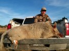 California Pig Hunt