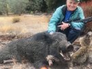 California Pig Hunt