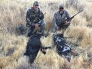 California Wild Boar Hunt