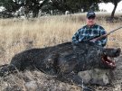 California Wild Boar Hunt