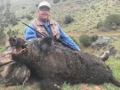 California Pig Hunt