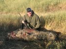 California Pig Hunt