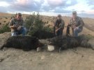 California Pig Hunt