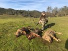 California Wild Boar Hunt