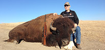 Buffalo Hunting in California