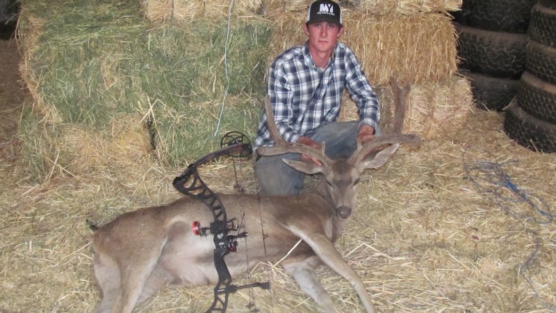 D19 Deer Hunting Season