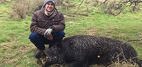 European Boar Hunts, Russian Boar Hunts