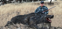 California Wild Pig Hunts