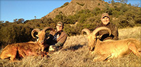 California Aoudad Hunts