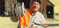 California Upland Game Hunts