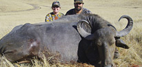 California Water Buffalo Hunts