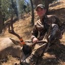 California Guided Deer Hunt