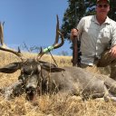 California Guided Deer Hunt