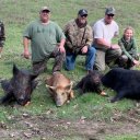 California Guided Wild Pig Hunt