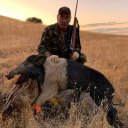 California Guided Wild Pig Hunt