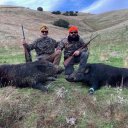 California Guided Wild Pig Hunt