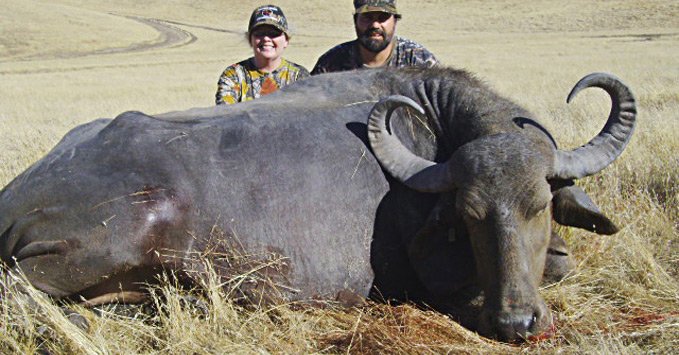 Water Buffalo Hunts